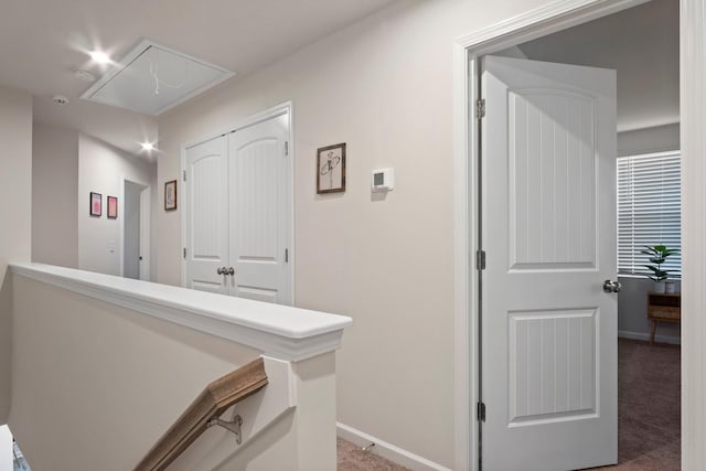 hallway featuring baseboards, carpet floors, and attic access