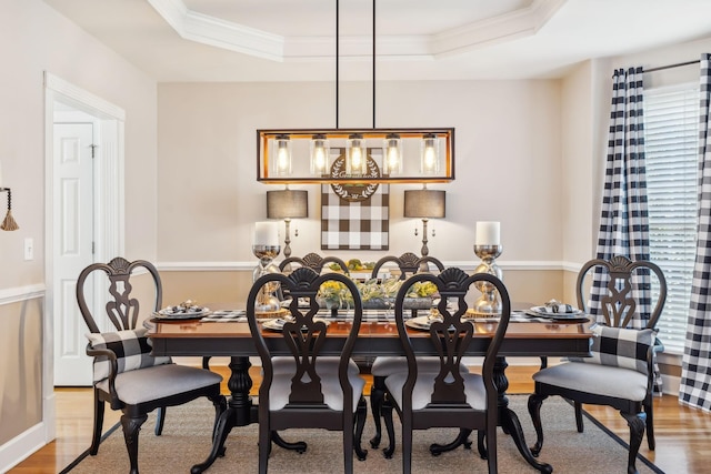 dining room featuring ornamental molding, indoor bar, a tray ceiling, and wood finished floors