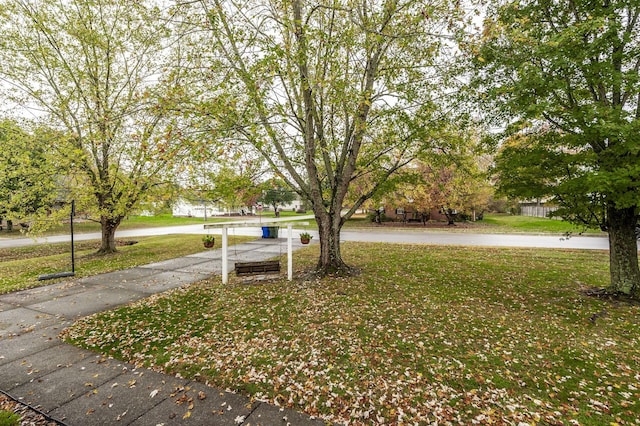 view of property's community with a yard