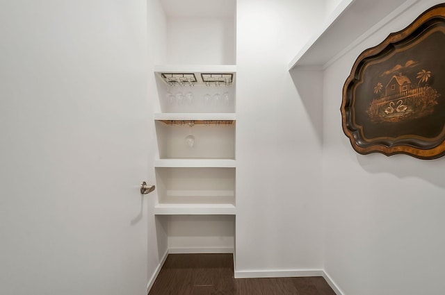 spacious closet featuring wood finished floors