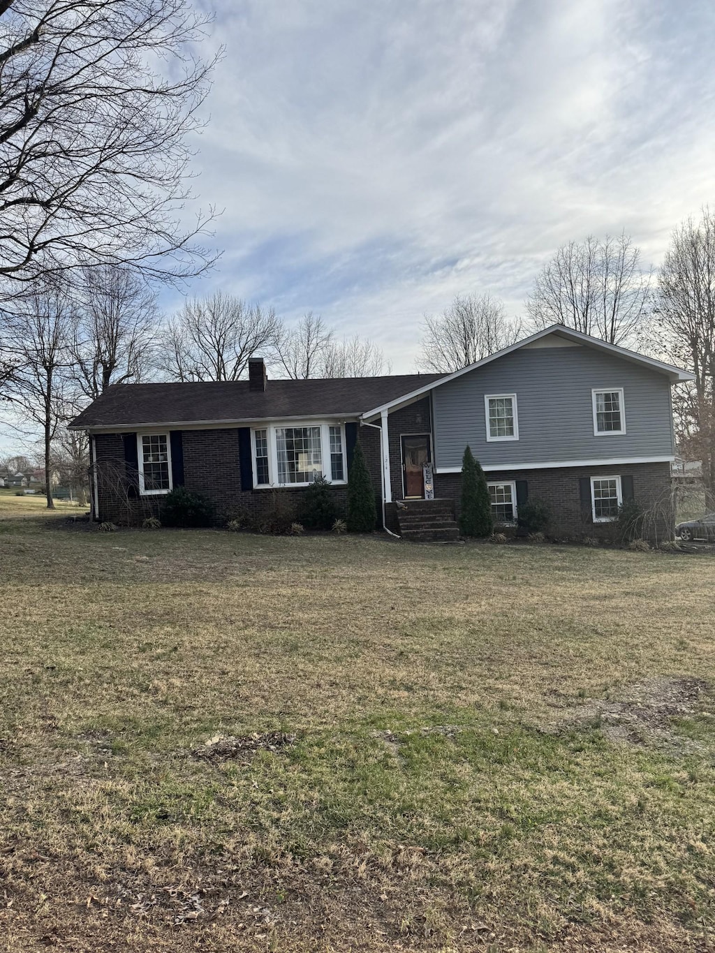 view of front of house featuring a front lawn and a chimney