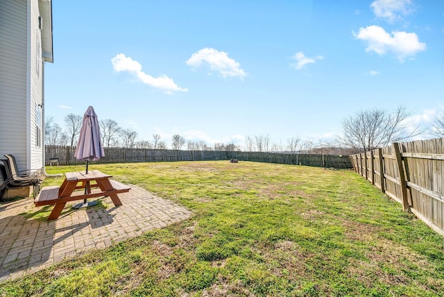 view of yard with a patio and a fenced backyard