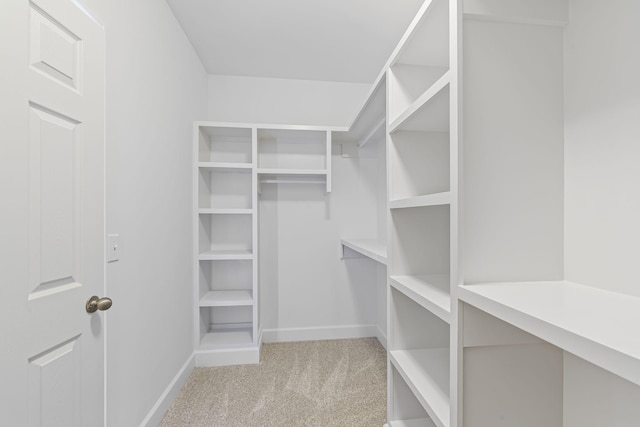 walk in closet featuring light colored carpet