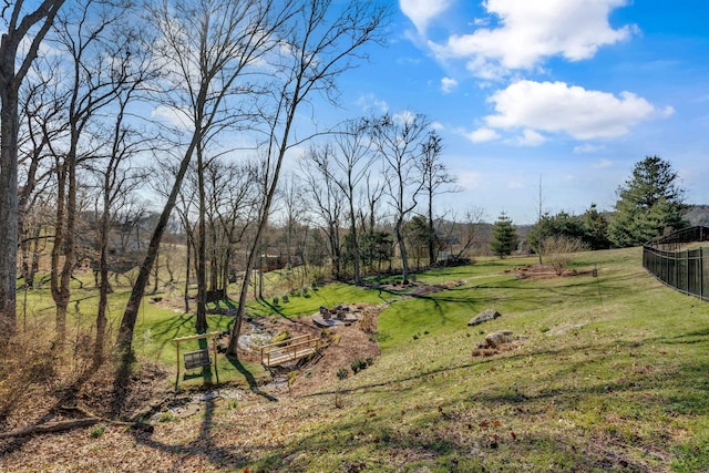 view of yard featuring fence