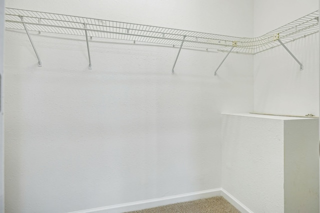 334 Idaho Springs Rd, Clarksville, TN 37043 - spacious closet featuring carpet floors