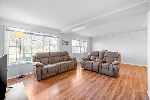 living area featuring light wood-style flooring, crown molding, and baseboards