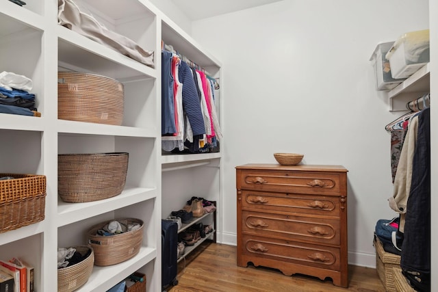 walk in closet featuring wood finished floors