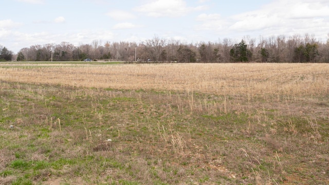 view of local wilderness featuring a rural view