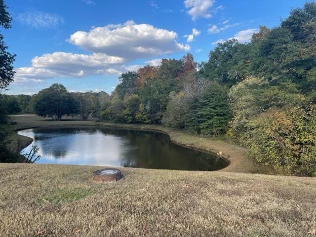 water view featuring a view of trees