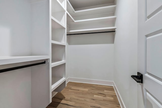 walk in closet featuring wood finished floors