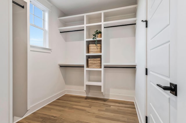 spacious closet featuring wood finished floors