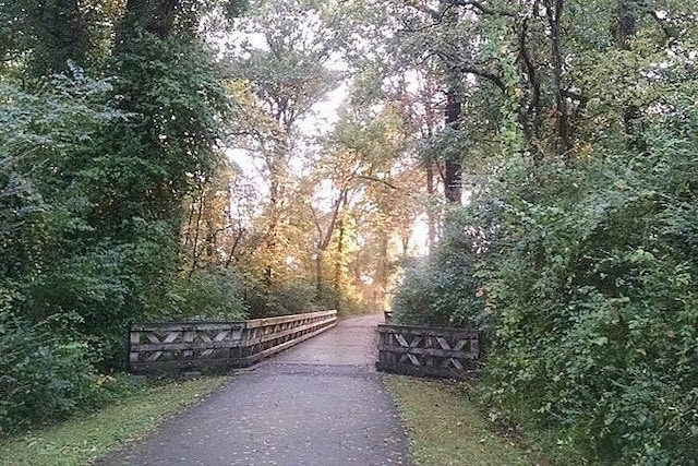 surrounding community featuring driveway and a view of trees