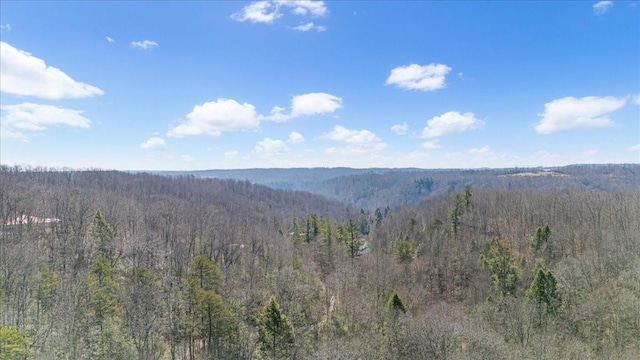 property view of mountains with a forest view