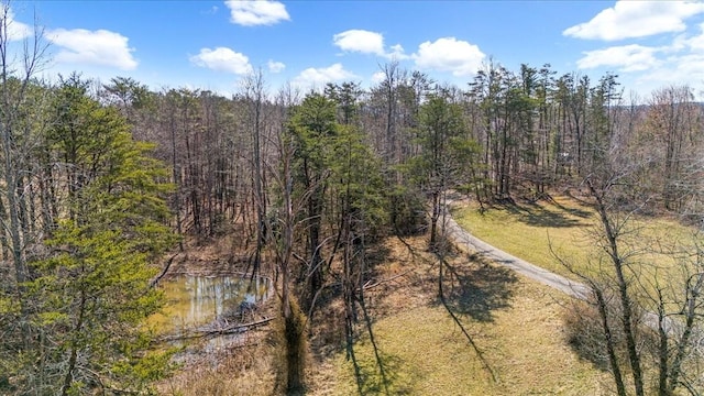 birds eye view of property featuring a forest view