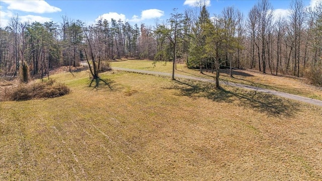 view of yard with a view of trees