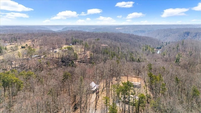 bird's eye view with a forest view