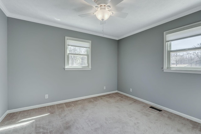 empty room with carpet, visible vents, baseboards, ceiling fan, and crown molding