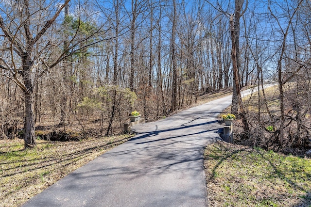 view of road featuring a forest view