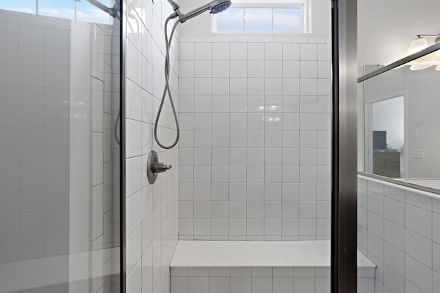 bathroom featuring a shower stall