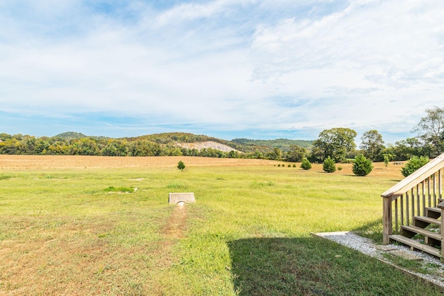 view of yard with a rural view and a mountain view