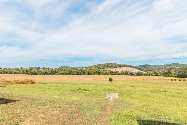 view of yard with a rural view and a mountain view