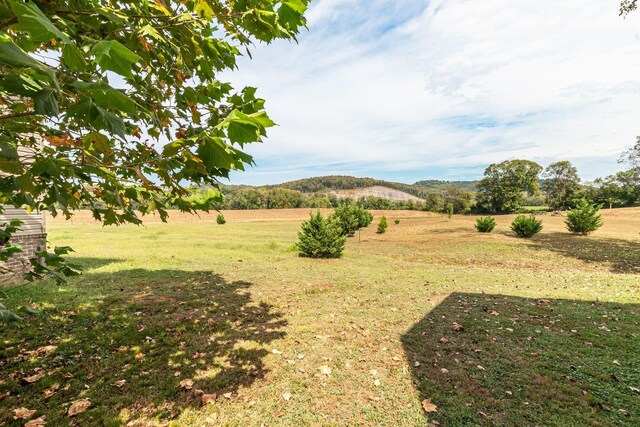 view of yard with a rural view