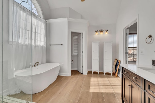 full bath featuring vanity, lofted ceiling, wood finished floors, and a freestanding bath