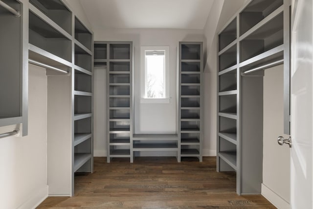 spacious closet featuring dark wood finished floors