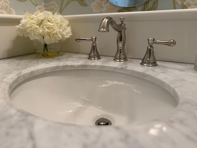 interior details with a sink