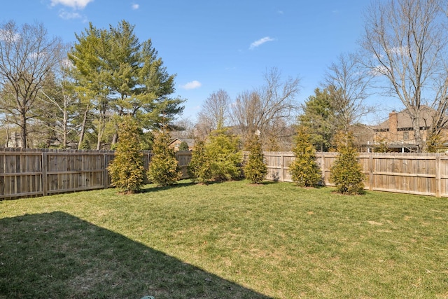 view of yard with a fenced backyard