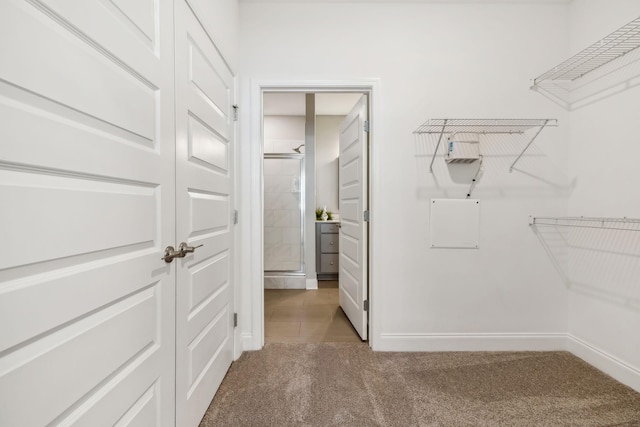 spacious closet featuring carpet