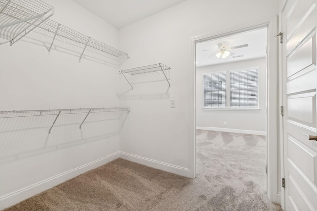 spacious closet featuring a ceiling fan and carpet flooring