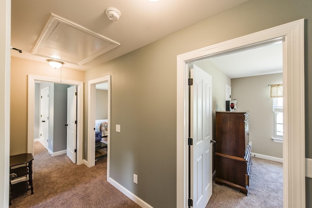 1013 Five Coves Trce, Gallatin, TN 37066 - hall featuring carpet flooring, attic access, and baseboards
