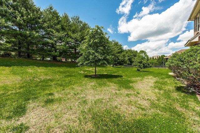 1013 Five Coves Trce, Gallatin, TN 37066 - view of yard