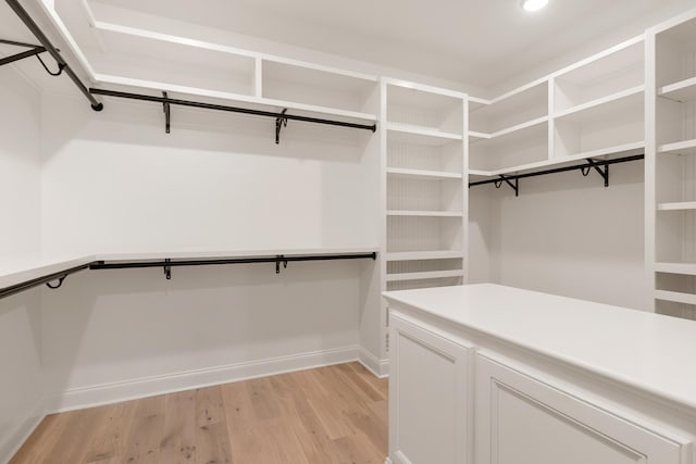 spacious closet featuring light wood finished floors