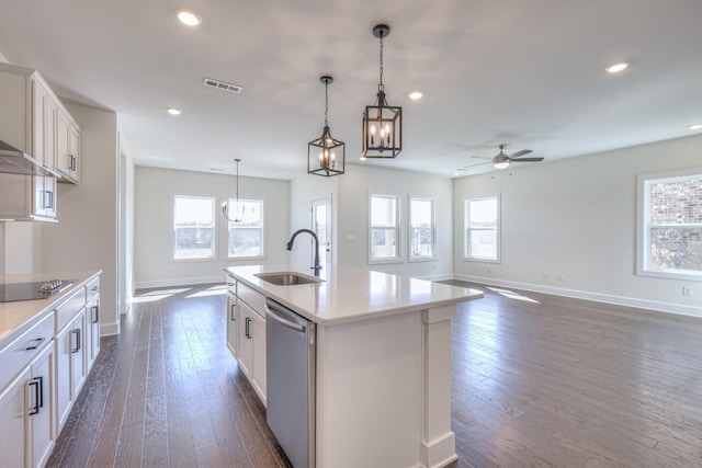 kitchen with a sink, dishwasher, black electric cooktop, ceiling fan with notable chandelier, and a wealth of natural light