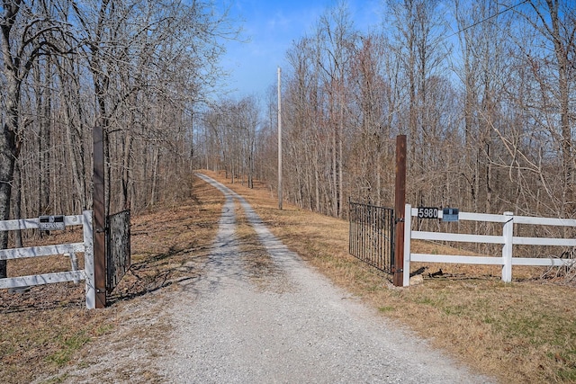 view of street with a gated entry and a gate