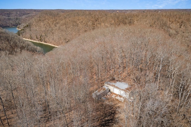 birds eye view of property with a forest view and a water view