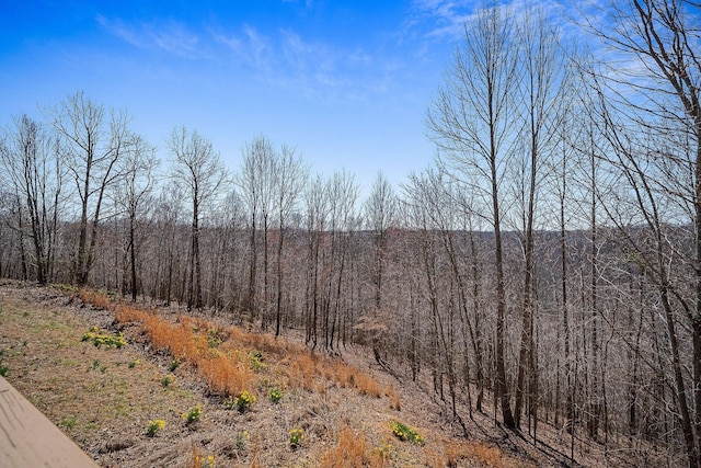 view of nature featuring a forest view