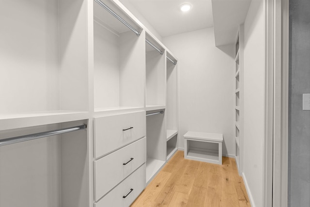 spacious closet with light wood-type flooring