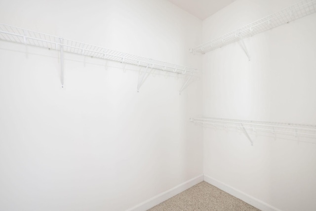 spacious closet featuring light carpet