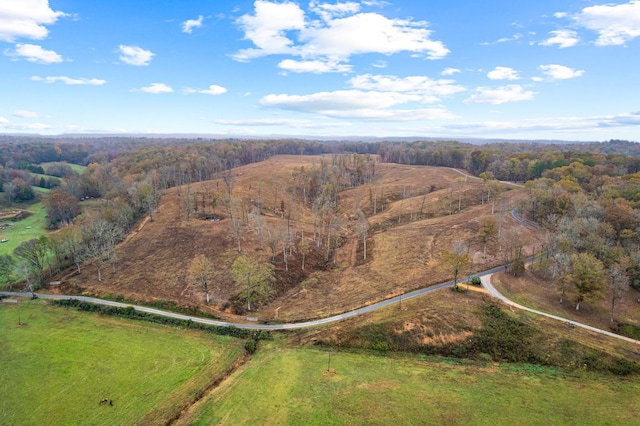 Listing photo 2 for 0 S Possum Hollow Rd Unit 1, Nunnelly TN 37137
