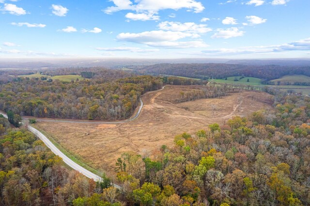 0 S Possum Hollow Rd Unit 1, Nunnelly TN, 37137 land for sale