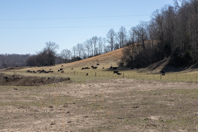 Listing photo 3 for 0 S Possum Hollow Rd Unit 6, Nunnelly TN 37137