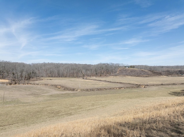 0 S Possum Hollow Rd Unit 6, Nunnelly TN, 37137 land for sale