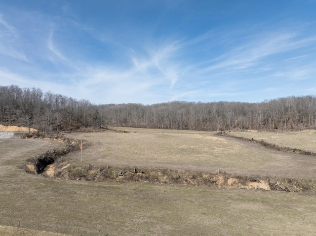 Listing photo 2 for 0 S Possum Hollow Rd Unit 6, Nunnelly TN 37137