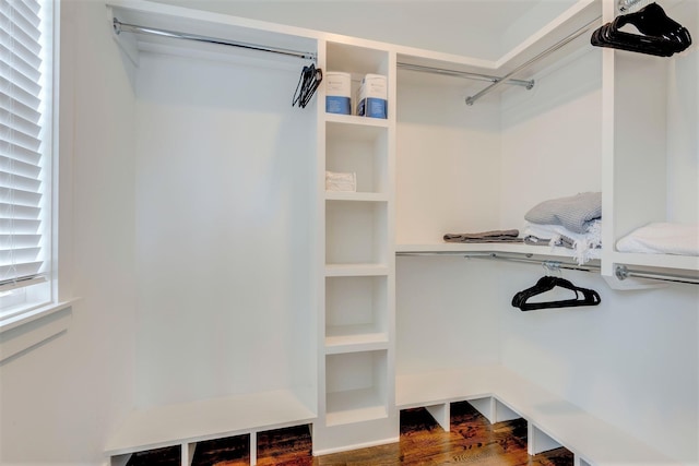 spacious closet featuring dark wood-type flooring