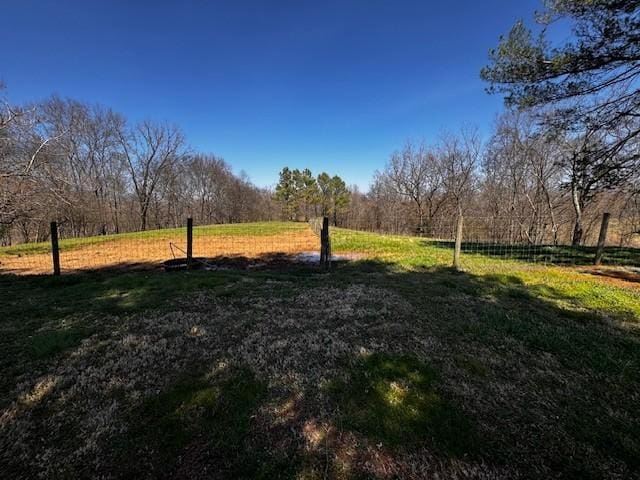 view of yard with a rural view