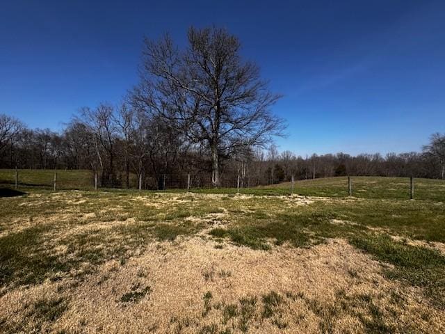 view of yard featuring a rural view