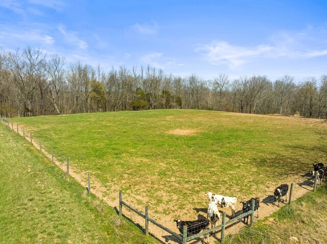 442 Shady Grove Rd, Flintville, TN 37335 - photo 47